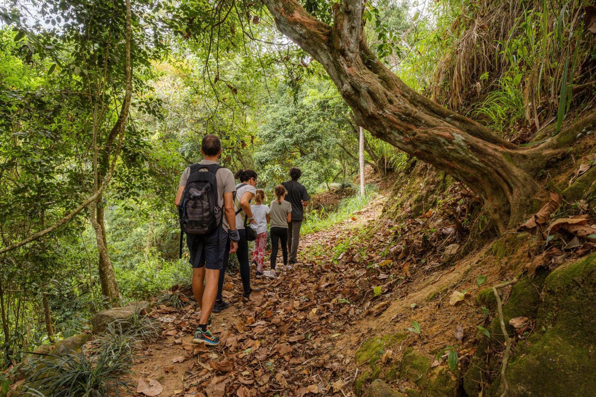 Simpson'S Forest - Luxury Boutique Resort & Spa - Kandy Eksteriør bilde
