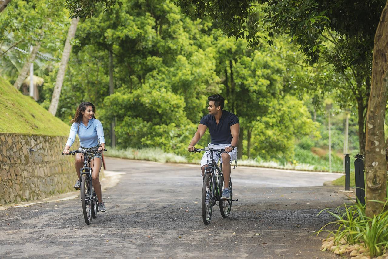Simpson'S Forest - Luxury Boutique Resort & Spa - Kandy Eksteriør bilde